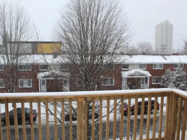 Apartment 1 Bedroom For Rent Ottawa ON 1850 ES98185958