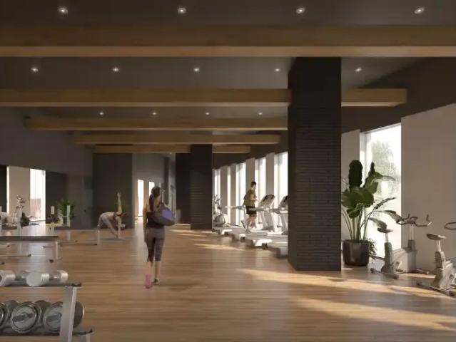 Apartment 1 Bedroom For Rent Ottawa ON 2225 ES102243059