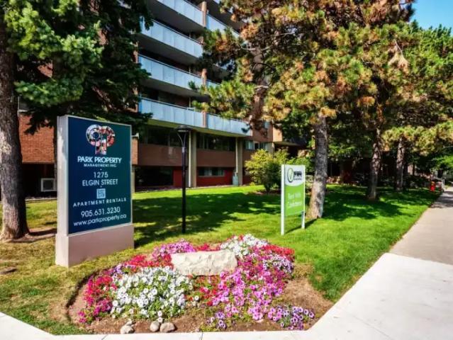 Apartment 1 Bedroom For Rent Burlington ON 1999 ES97267226