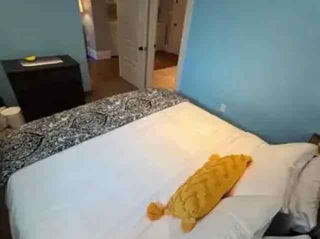 Apartment 1 Bedroom For Rent Burlington ON 2500 ELS102306682