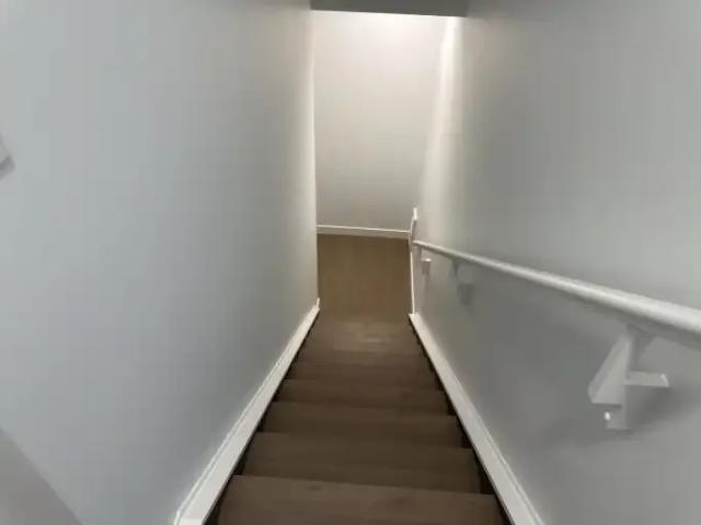 Apartment 1 Bedroom For Rent Calgary AB 1250 ELS101773536