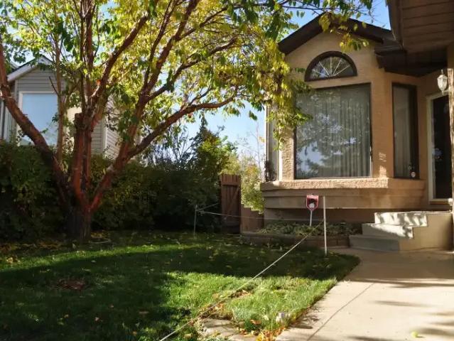 Apartment 1 Bedroom For Rent Calgary AB 1250 ELS102883207