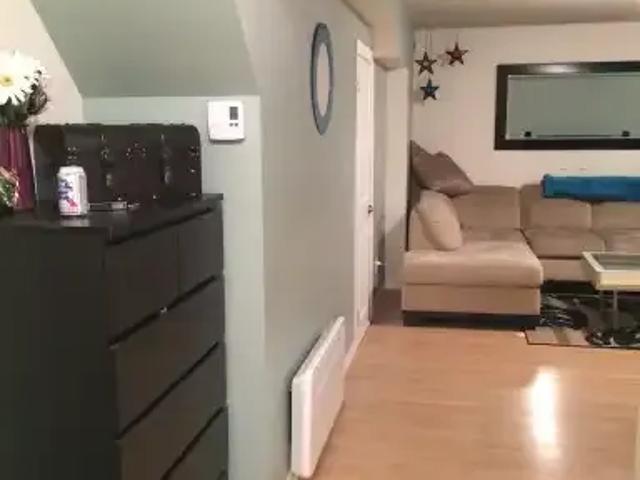 Apartment 1 Bedroom For Rent Calgary AB 1250 ELS102243088