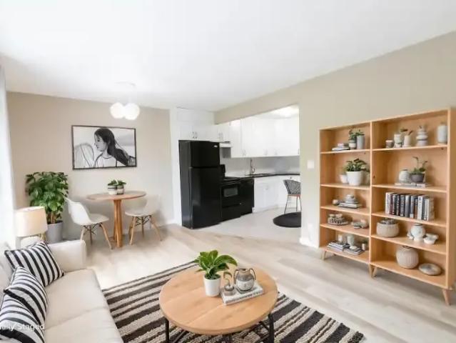 Apartment 1 Bedroom For Rent Calgary AB 1250 ES103593729