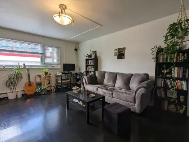 Apartment 1 Bedroom For Rent Calgary AB 1250 ES104841560