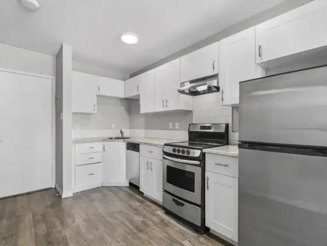 Apartment 1 Bedroom For Rent Calgary AB 1295 ES102018847