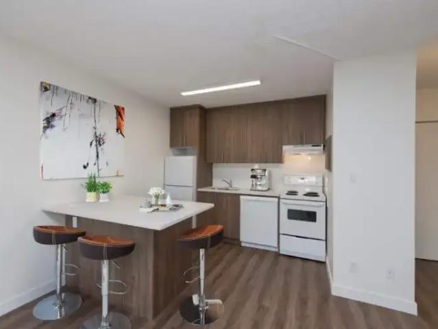 Apartment 1 Bedroom For Rent Calgary AB 1200 ELS101014894
