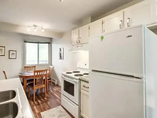 Apartment 1 Bedroom For Rent Calgary AB 1465 ES103877954