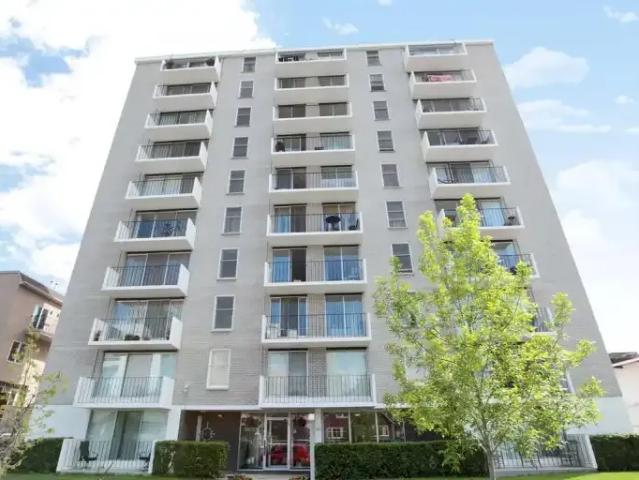 Apartment 1 Bedroom For Rent Calgary AB 1495 ES102845589