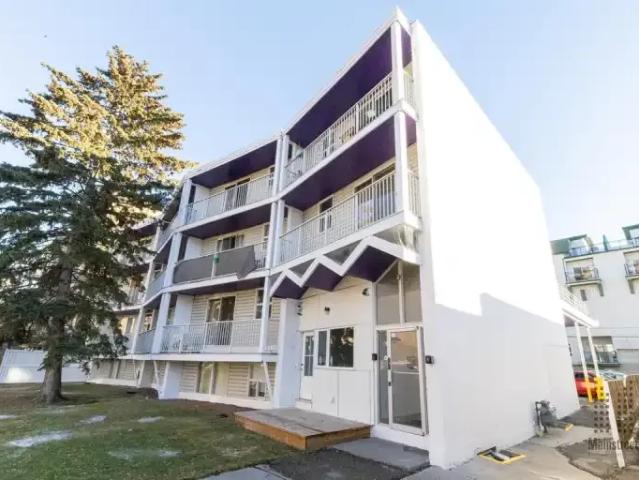 Apartment 1 Bedroom For Rent Calgary AB 1499 ELS102338855