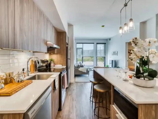 Apartment 1 Bedroom For Rent Calgary AB 1590 ES103011044