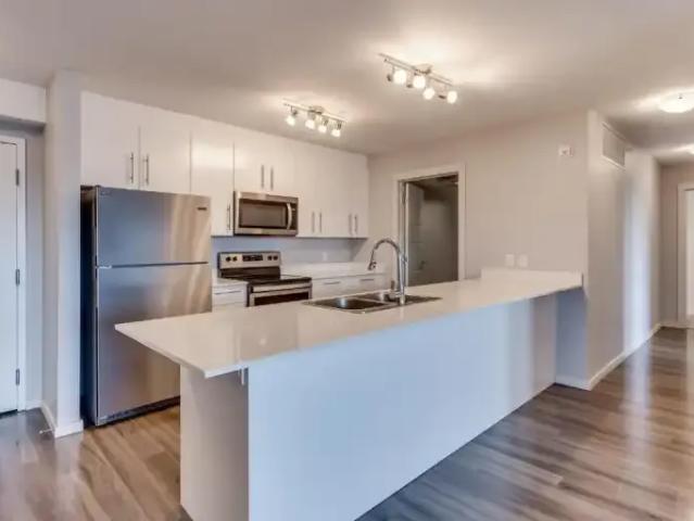 Apartment 1 Bedroom For Rent Calgary AB 1597 ES100526271