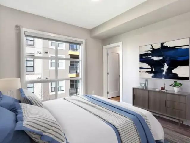 Apartment 1 Bedroom For Rent Calgary AB 1599 ES103090730