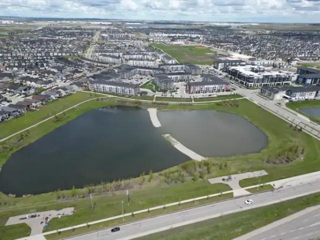Apartment 1 Bedroom For Rent Calgary AB 1647 ELS90143910