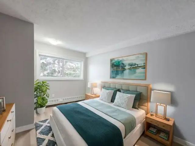 Apartment 1 Bedroom For Rent Calgary AB 1645 ES102845746