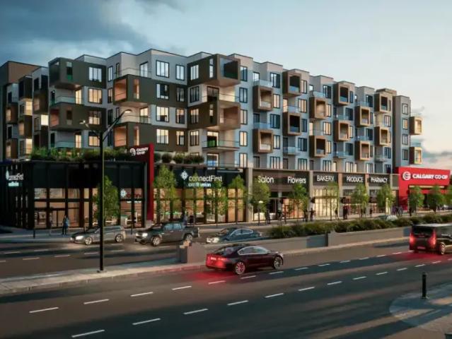 Apartment 1 Bedroom For Rent Calgary AB 1650 ELS98340861