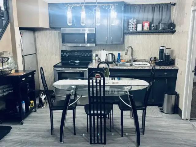 Apartment 1 Bedroom For Rent Calgary AB 1650 ES102658540