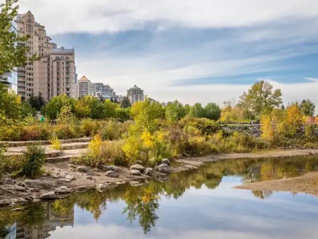 Apartment 1 Bedroom For Rent Calgary AB 1650 ES103091396