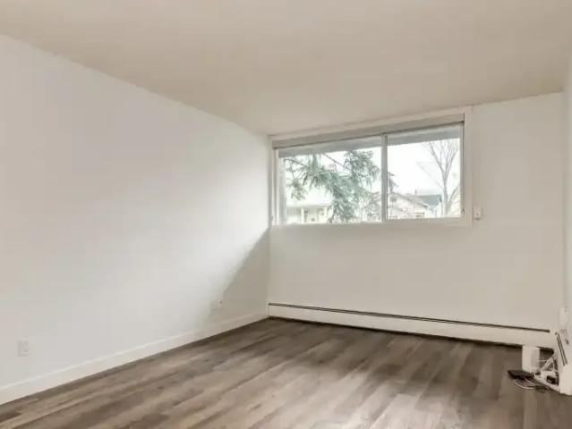 Apartment 1 Bedroom For Rent Calgary AB 1655 ES103878600