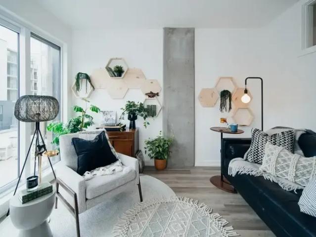 Apartment 1 Bedroom For Rent Calgary AB 1665 ELS96586928