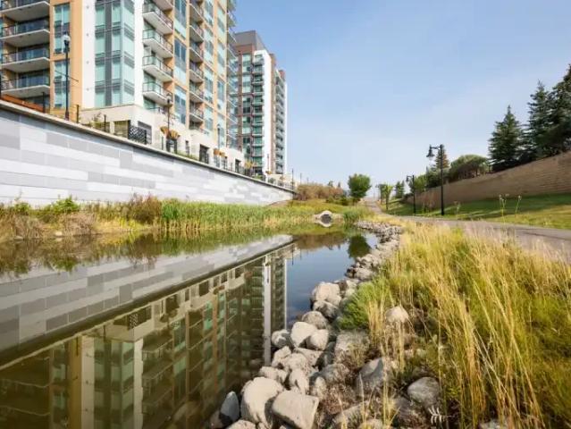 Apartment 1 Bedroom For Rent Calgary AB 1685 ES103091114