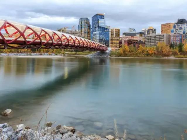 Apartment 1 Bedroom For Rent Calgary AB 1620 ELS96845325