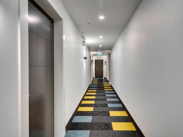 Apartment 1 Bedroom For Rent Calgary AB 1800 ELS98311144