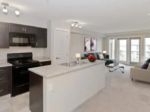 Apartment 1 Bedroom For Rent Calgary AB 1949 ES100354090