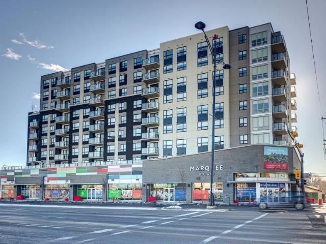 Apartment 1 Bedroom For Rent Calgary AB 2200 ELS98314184