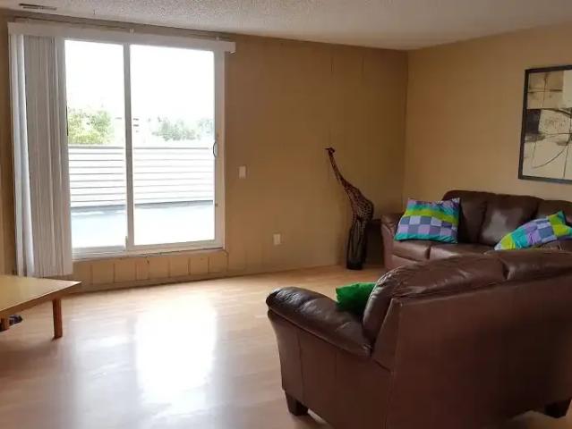 Apartment 1 Bedroom For Rent Calgary AB 870 ES105118805