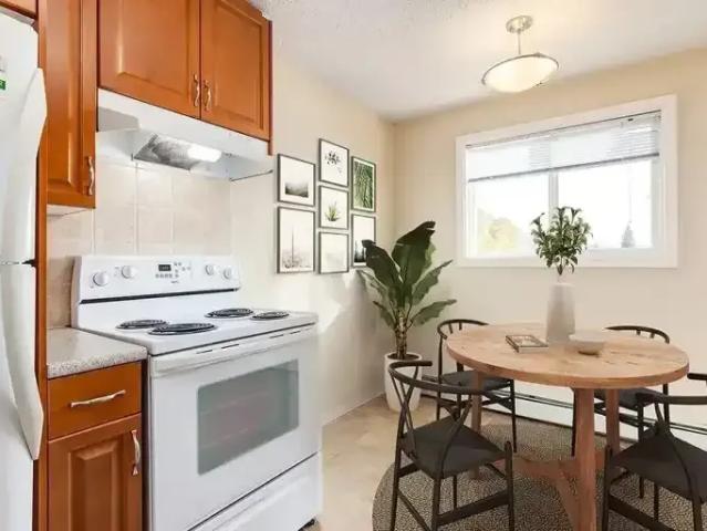 Apartment 1 Bedroom For Rent Camrose AB 1349 ES100487414