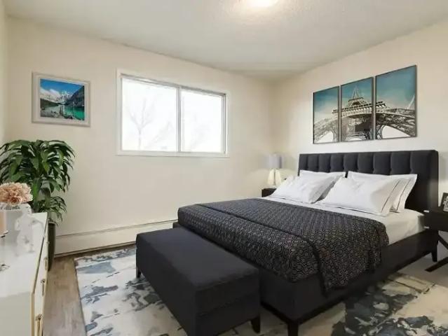 Apartment 1 Bedroom For Rent Camrose AB 1359 ES100562591