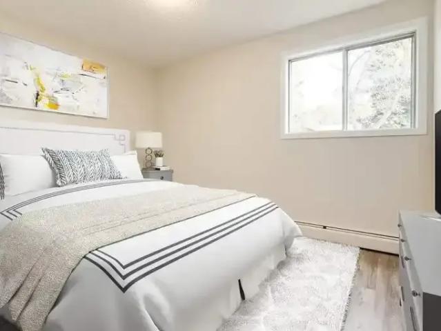 Apartment 1 Bedroom For Rent Camrose AB 1364 ELS99676238
