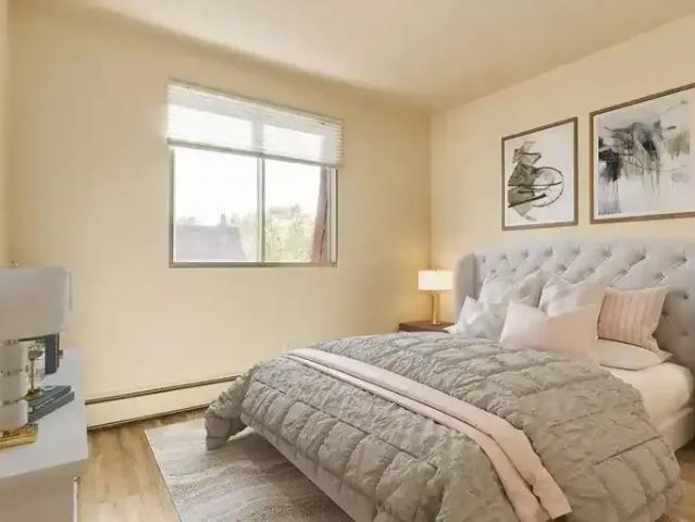 Apartment 1 Bedroom For Rent Camrose AB 1329 ELS101215422