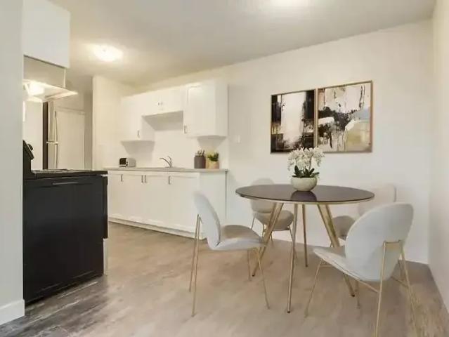 Apartment 1 Bedroom For Rent Camrose AB 1434 ES103878146