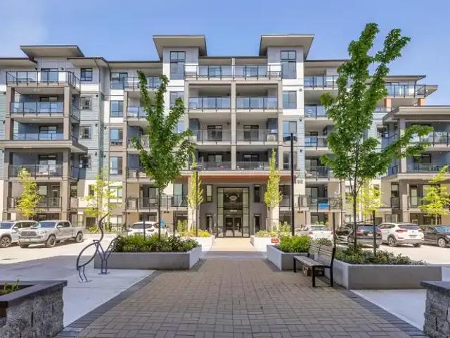 Apartment 1 Bedroom For Rent Chilliwack BC 1650 ES103118998