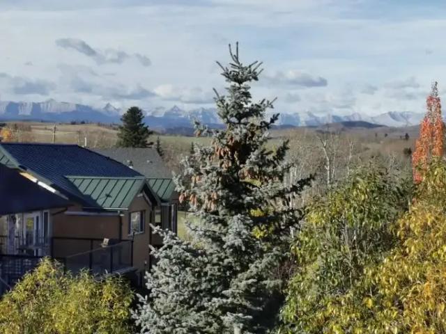 Apartment 1 Bedroom For Rent Diamond Valley AB 1700 ES105198518