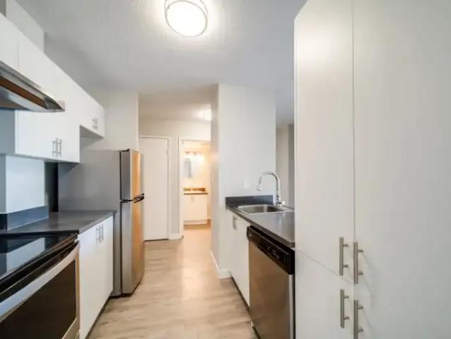 Apartment 1 Bedroom For Rent Edmonton AB 1400 ES96251610