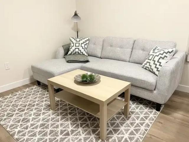 Apartment 1 Bedroom For Rent Edmonton AB 1400 ES104181257