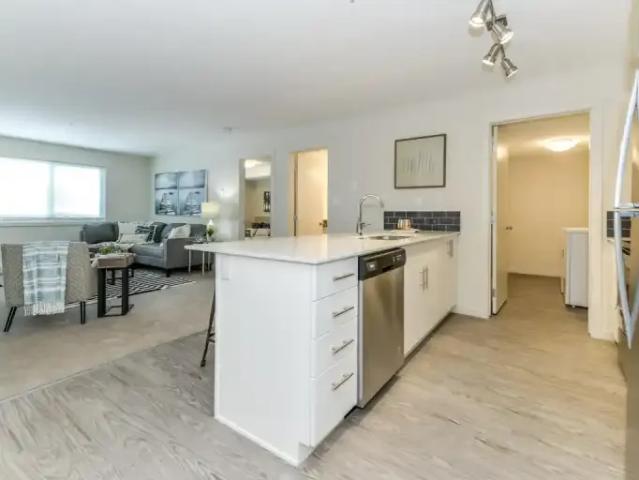 Apartment 1 Bedroom For Rent Edmonton AB 1450 ES98490974