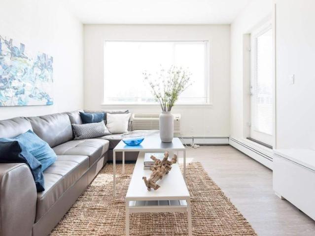 Apartment 1 Bedroom For Rent Edmonton AB 1460 ES98313573
