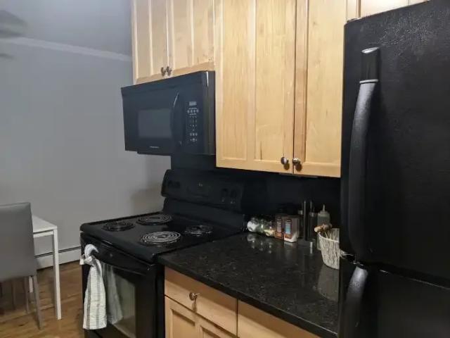 Apartment 1 Bedroom For Rent Edmonton AB 1475 ES103424183