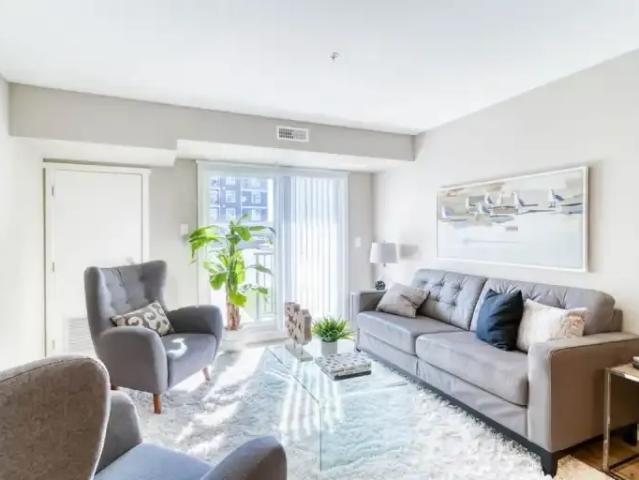 Apartment 1 Bedroom For Rent Edmonton AB 1478 ES102845191