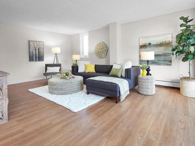 Apartment 1 Bedroom For Rent Edmonton AB 1495 ES98311784