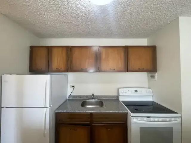 Apartment 1 Bedroom For Rent Edmonton AB 1495 ES102018474