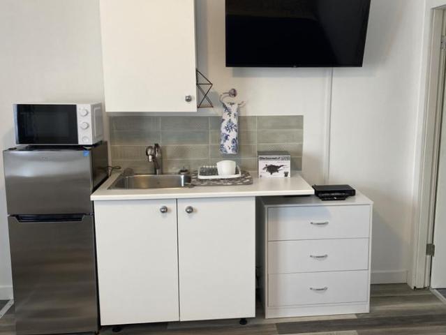 Apartment 1 Bedroom For Rent Edmonton AB 1500 ES102844578