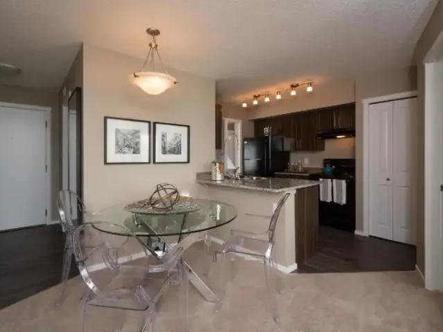 Apartment 1 Bedroom For Rent Edmonton AB 1529 ES98340391