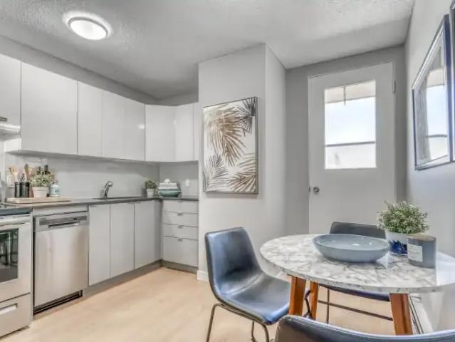 Apartment 1 Bedroom For Rent Edmonton AB 1545 ES99459663