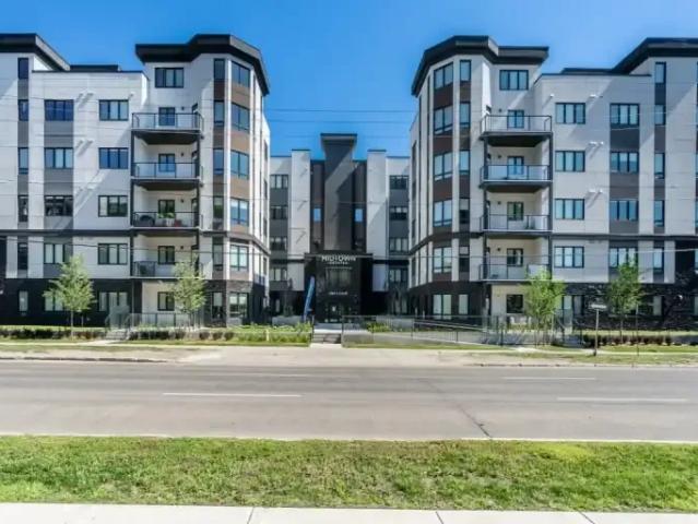 Apartment 1 Bedroom For Rent Edmonton AB 1575 ES102700561
