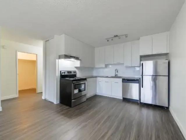 Apartment 1 Bedroom For Rent Edmonton AB 1589 ES102845178
